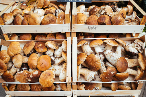 Porcini mushroom in Italian market