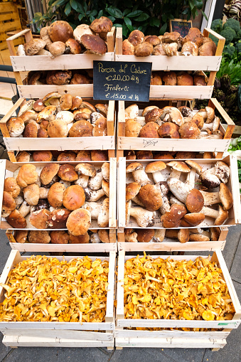 Porcini mushroom in Italian market