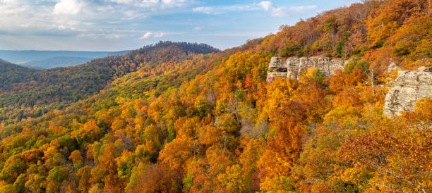 istock White Rock Mountain, Ozark National Forest 1739342862