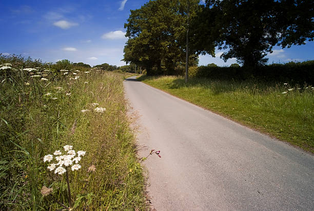 país lane - grass shoulder rural scene road wildflower - fotografias e filmes do acervo