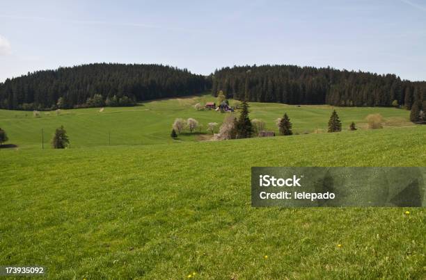 Photo libre de droit de Panorama De La Forêtnoire banque d'images et plus d'images libres de droit de Agriculture - Agriculture, Allemagne, Allgäu