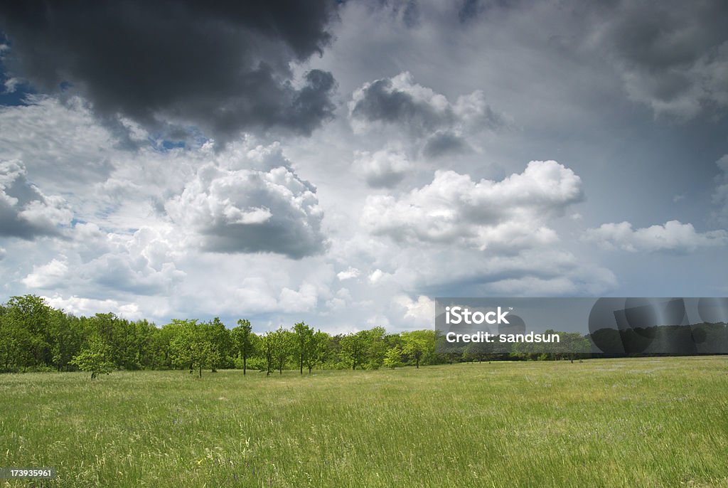 thunderstorm green meadow Agricultural Field Stock Photo