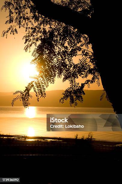 Sonnenuntergang Über Dem See Genezareth Stockfoto und mehr Bilder von See Genezareth - See Genezareth, Baum, Christentum