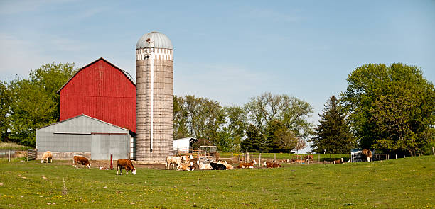 istock Wisconsin Farm Land 173936217