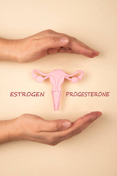 istock Hormone balance, Estrogen, Progesterone 1739366780