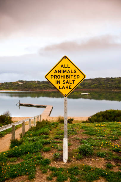 istock Animals prohibited Boardwalk pier over water lake 173936713