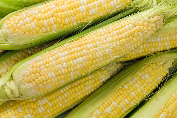 istock Sweet Corn on the Cob Hz 173936885