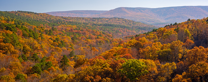 Mount Magazine as seen from Ross Hollow overlook in early November. Backlighting brings out the color in the trees.