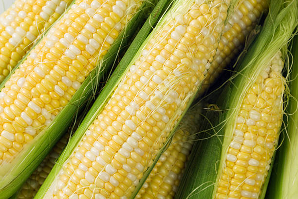 istock Sweet Corn Close-up Hz 173937382