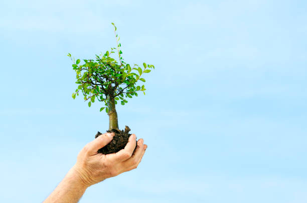 istock Hand Holding New Life.Copy Space 173937705