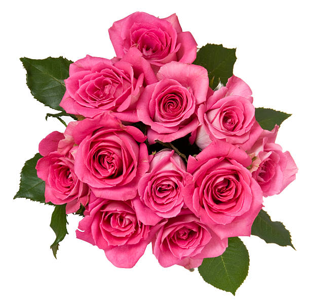 buquê de rosas para o dia das mães - rose mothers day flower pink - fotografias e filmes do acervo