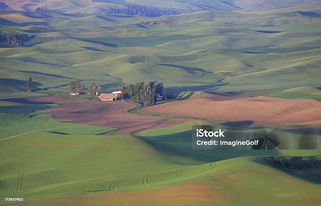 Palouse Landforms "The interesting landforms of the Palouse from Steptoe Butte, Washington." Aerial View Stock Photo