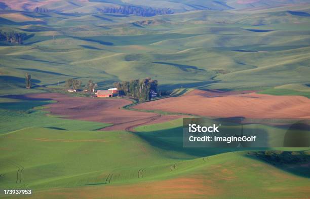 Palouse Landforms Stock Photo - Download Image Now - Aerial View, Agricultural Field, Agriculture