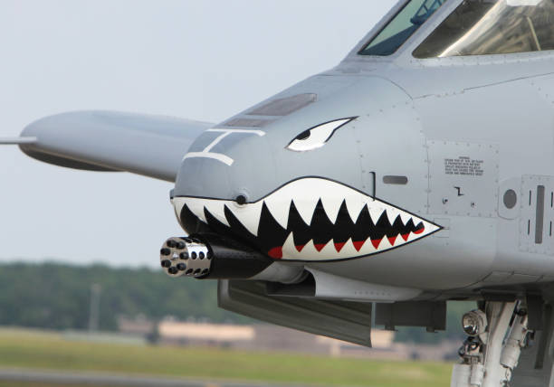 istock Nose of A-10 Thunderbolt Military Jet 173938353