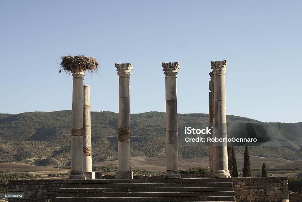 Roman 카피톨 at Volubilis - 로열티 프리 이교도 스톡 사진