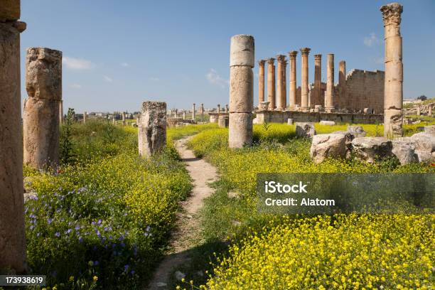 Tempio Di Artemide Di Jerash - Fotografie stock e altre immagini di Giordania - Medio Oriente - Giordania - Medio Oriente, Tempio di Artemide - Jerash, Antica civiltà