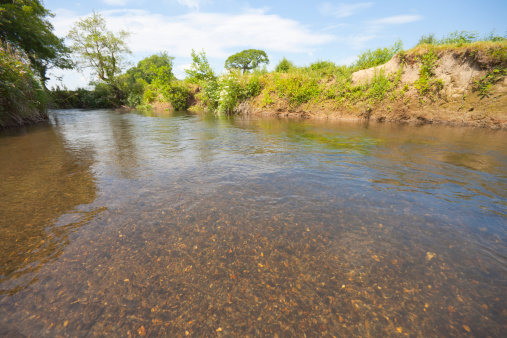 A sun-dappled low-level shot of a clear Summer river. Photographed from mid-stream.