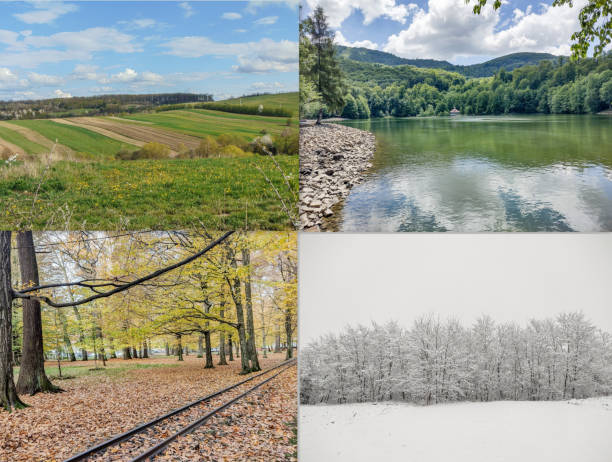 istock The four seasons in one image. Collage with spring, summer, autumn, winter. Wallpaper with spring, summer, autumn, winter 1739386704