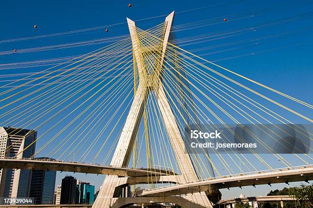 Puente De Tirantes Sao Paulo Foto de stock y más banco de imágenes de Aire libre - Aire libre, Ajardinado, América del Sur