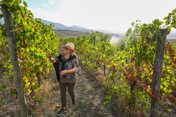 istock Woman on the vineyard 1739395562