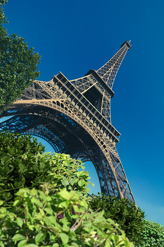 Eiffel Tower Full Detail