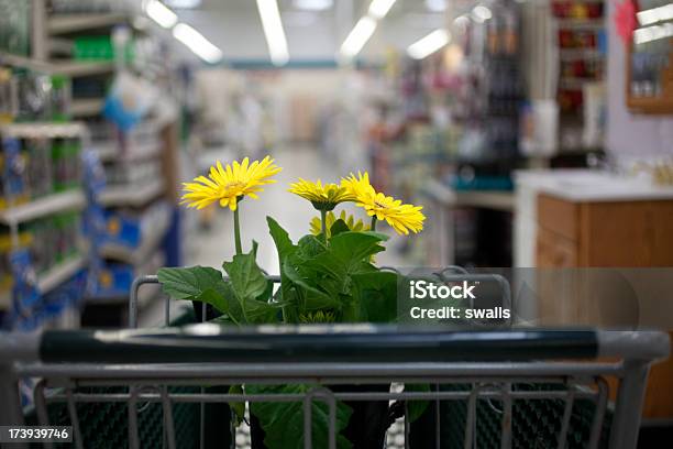 Jardinería Casa Mejora Foto de stock y más banco de imágenes de Carrito de la compra - Carrito de la compra, Flor, Amarillo - Color