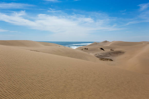 Las dunas de arena roja se encuentran con el océano - foto de stock