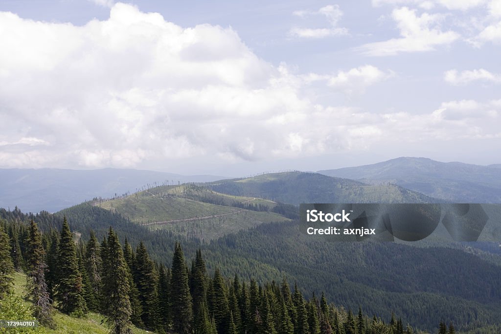 Vista de Washington - Royalty-free Beleza natural Foto de stock