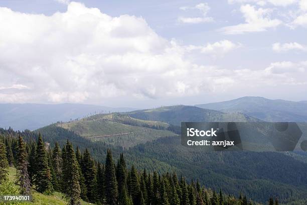 Vista De Washington - Fotografias de stock e mais imagens de Beleza natural - Beleza natural, Cor verde, Em cima de