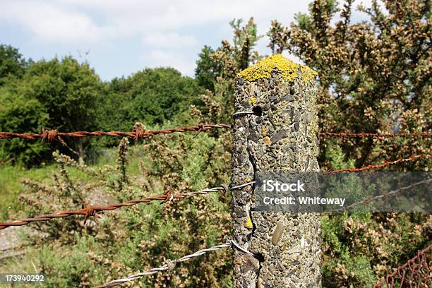 Beton Post Und Rostige Stacheldraht Sicherheit Neben Railway Track Stockfoto und mehr Bilder von Ausrüstung und Geräte