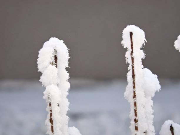 istock Snow decorates the landscape 1739405745
