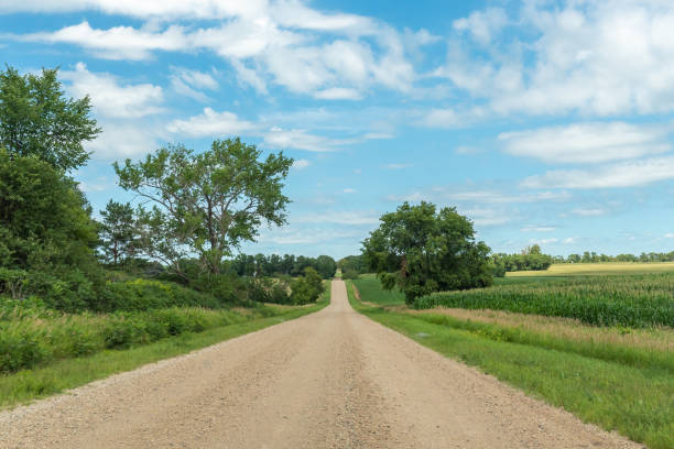 istock Looking down a gravel country road lined with fields on a sunny day. 1739405797