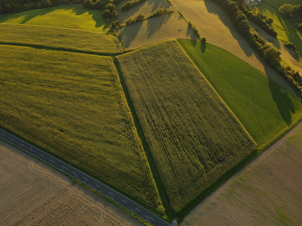 istock Country fields on a sunny evening in summer 1739406922
