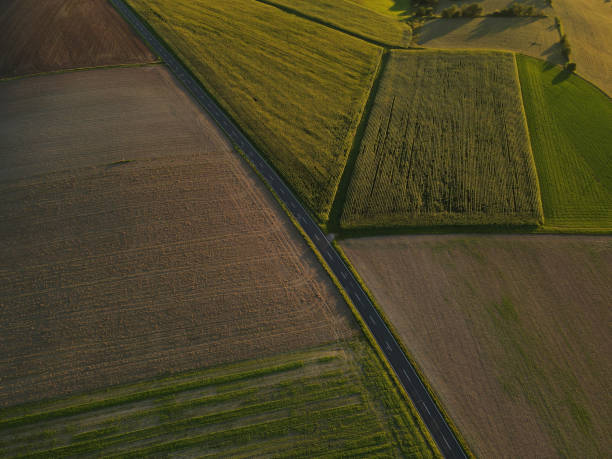 istock View from above of country fields with a road in evening 1739406934