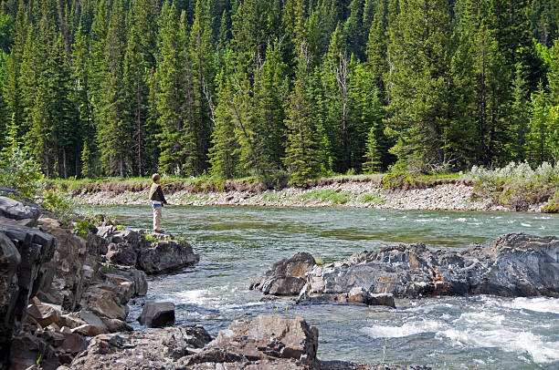 istock Youth Fishing in Mountain River 173940876