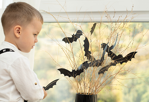 Halloween concept. Autumn holiday. The boy stands with his back near the window against the backdrop of a black vase with batting mice cut out of paper on dry branches. Close-up. Background.