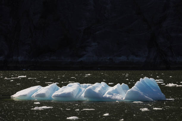 istock Blue Ice Iceberg Inside Passage Alaska 1739417553