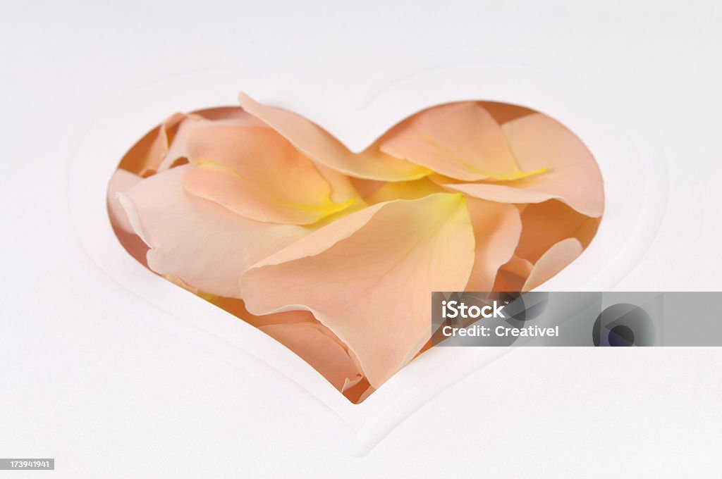 Cuore di petali di rosa - Foto stock royalty-free di Carta