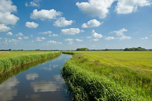 curved fosso - polder field meadow landscape imagens e fotografias de stock