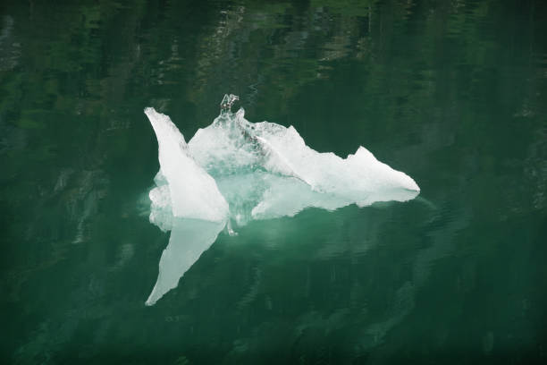 パッセージアラスカ内の緑の水の中の単一の青緑色の氷山 - glacier alaska iceberg melting ストックフォトと画像