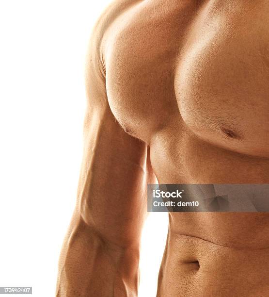 Foto de Masculino Body Builder e mais fotos de stock de Adulto - Adulto, Beleza, Conceito