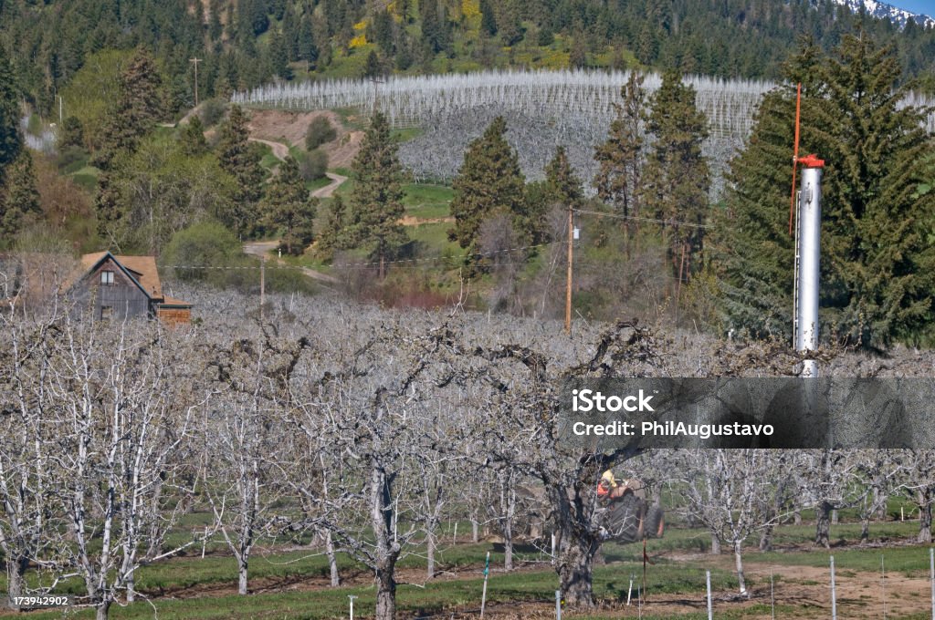 Insektizid sprayer in Apfel und Birne orchard - Lizenzfrei Anhöhe Stock-Foto