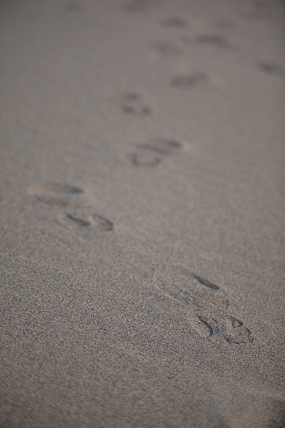 istock Running shoes have left tracks on a dune 173943284