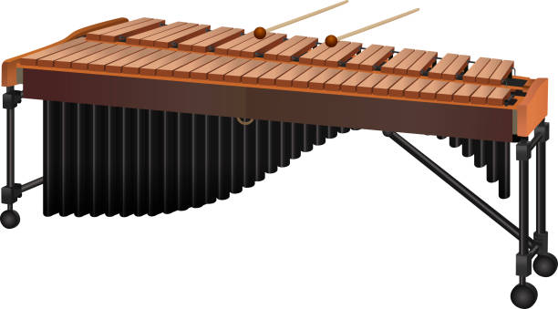 illustrations, cliparts, dessins animés et icônes de illustration d’un instrument de percussion marimba typique - vibraphone