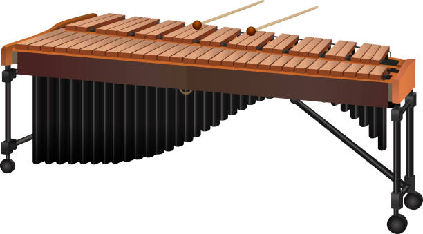 ilustracja typowego instrumentu perkusyjnego marimba - wibrafon stock illustrations