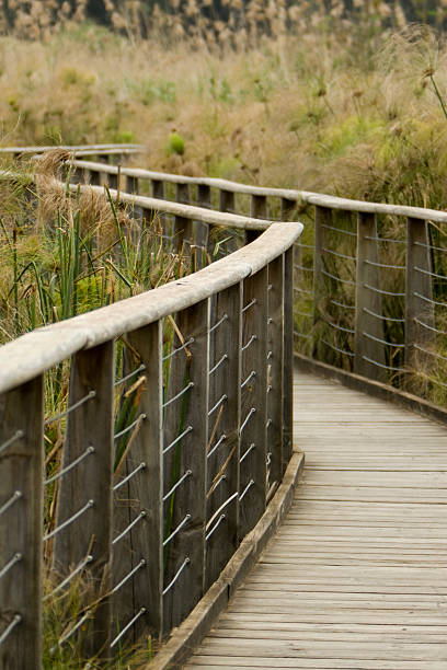 Ponte do Pé - fotografia de stock