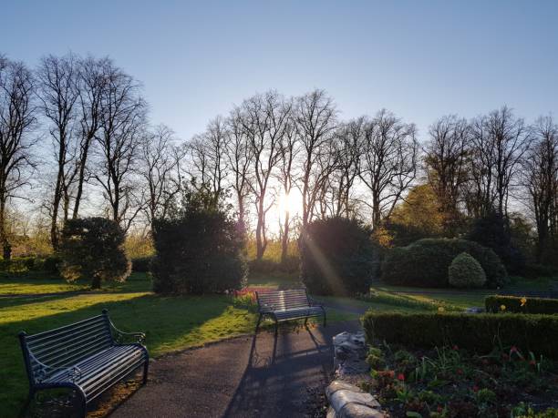 istock Sun behind the trees in Maxwell Park Glasgow Scotland UK 1739435598