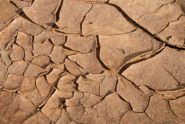 Sun-baked Dry Cracked Earth stock photo
