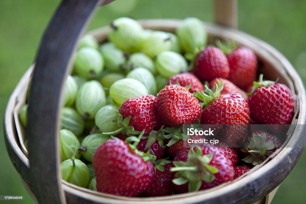 Cosecha de frutas de verano de fresas y Grosella espinosa - Foto de stock de Aire libre libre de derechos
