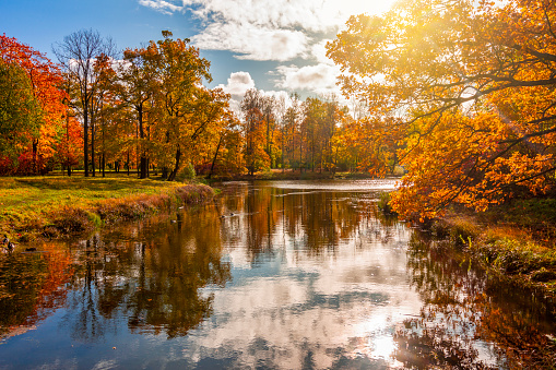 Scenic fall landscape with autumn foliage reflected in water
